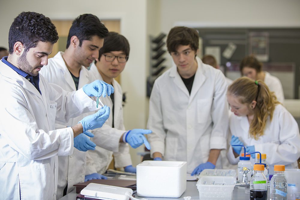 Students studying biology in a lab at Earlham
