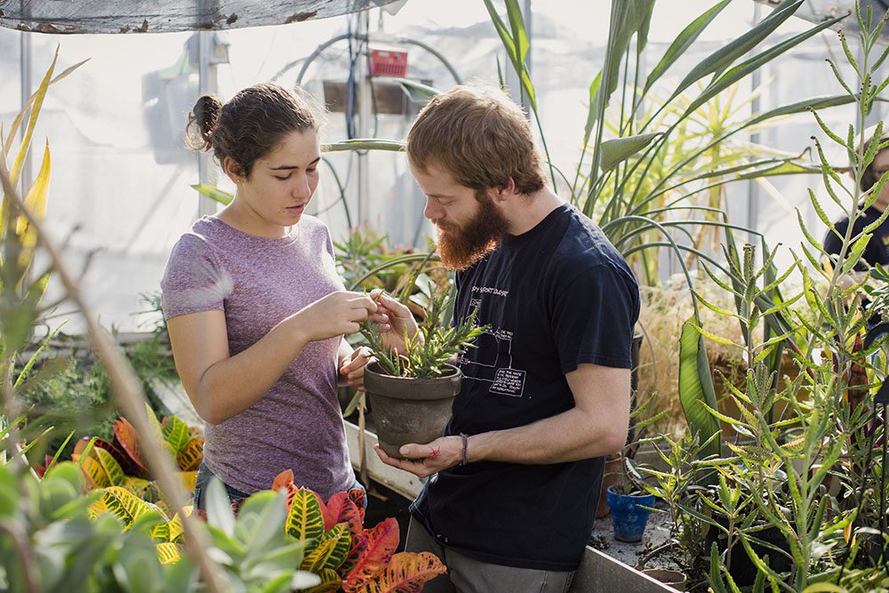 Students studying bilogy in a greenhouse at Earlham College
