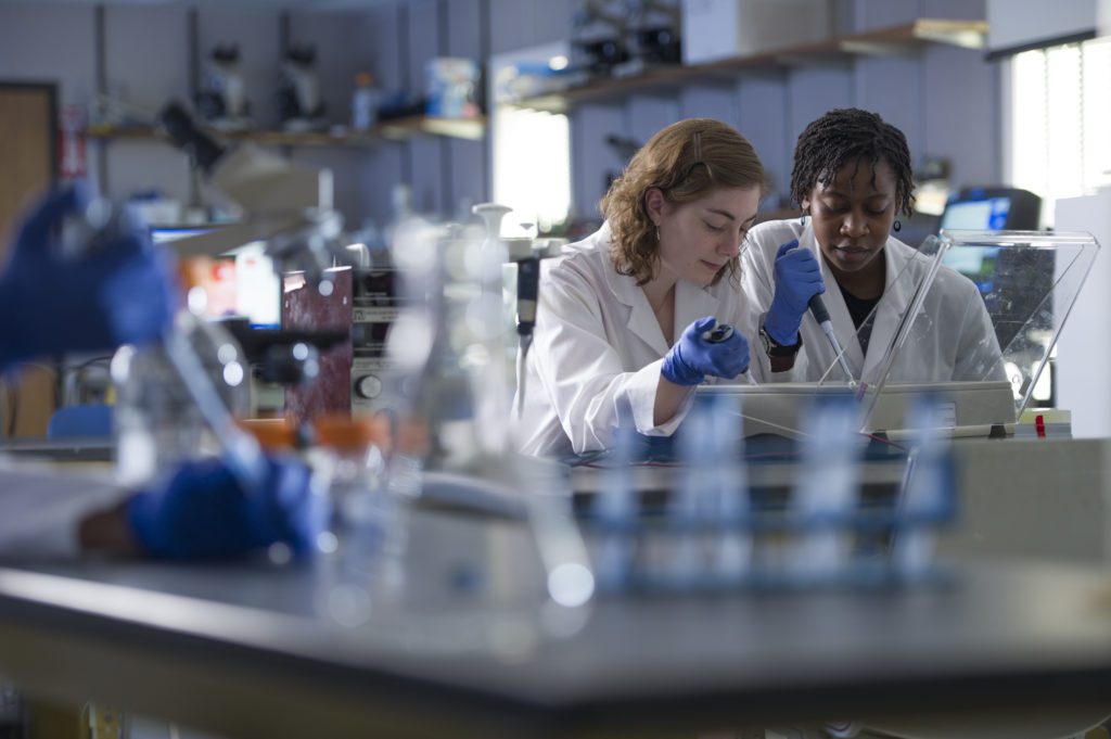 Students take part in chemistry lab
