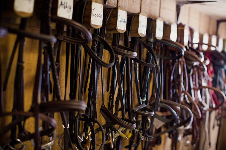 Equestrian Program Earlham College