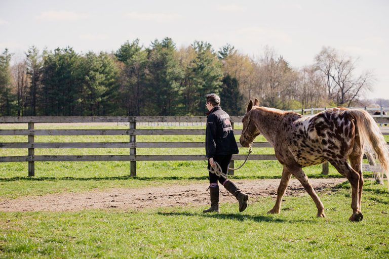 Equestrian Program Earlham College