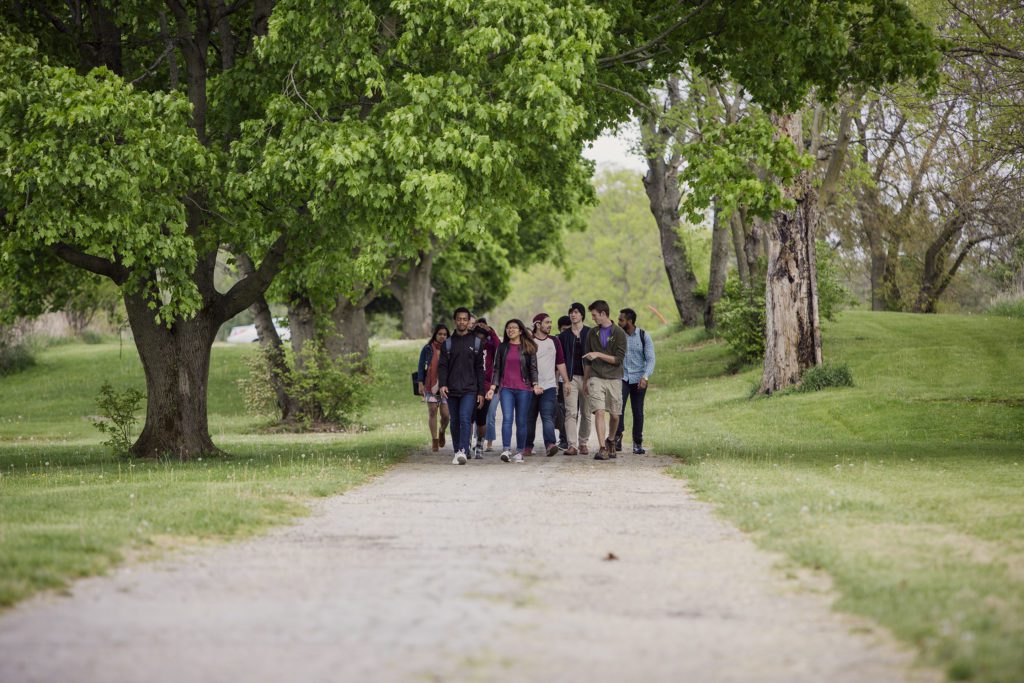 students walking on paved path on campus