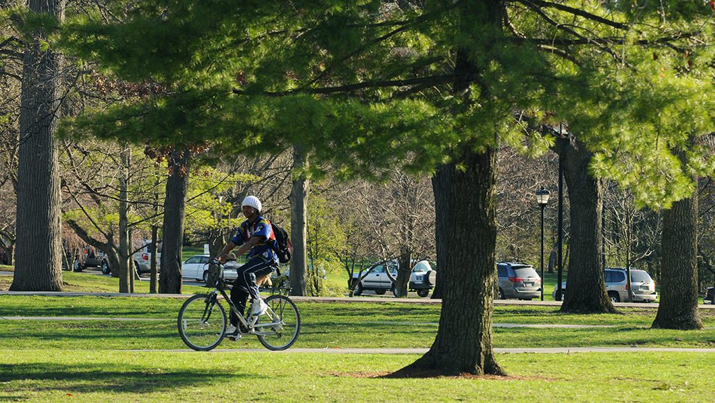 Individual biking on campus