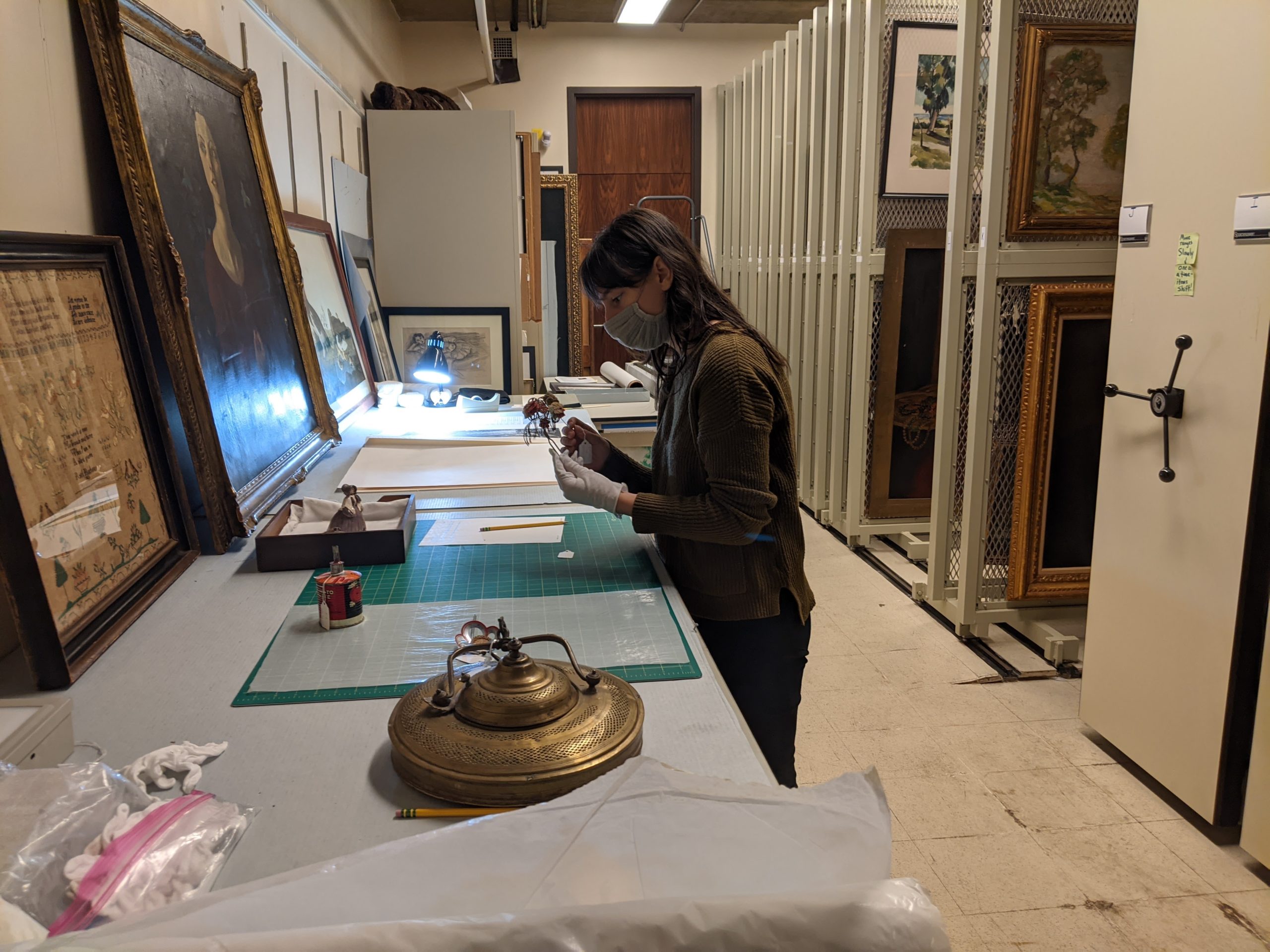 A student works in a museum's collections