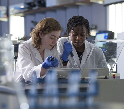 Two Earlham scientists in a lab