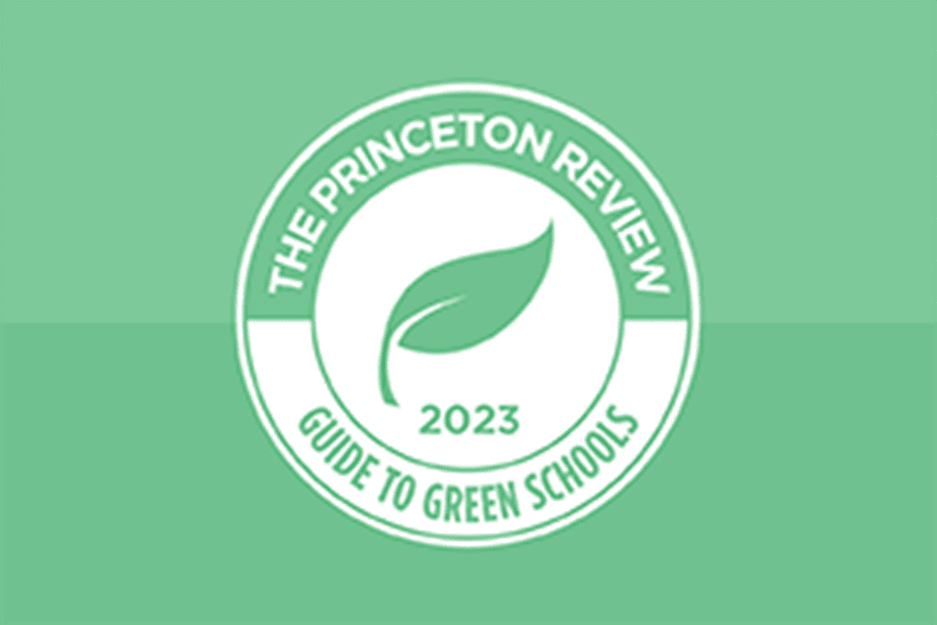 The Princeton Review - Green School logo