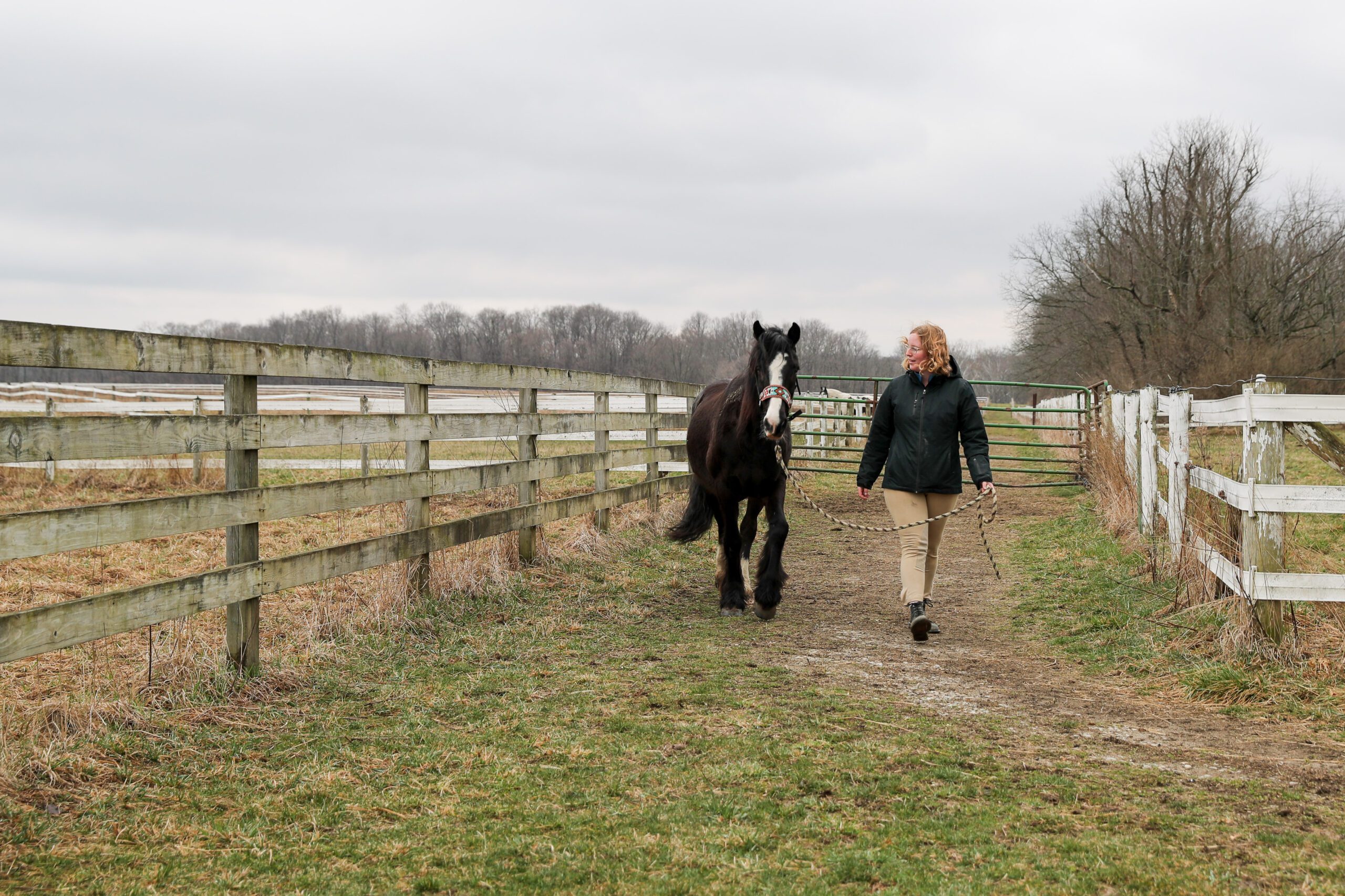 Earlham college equestrian center offering summer riding lessons to the  public : Earlham College