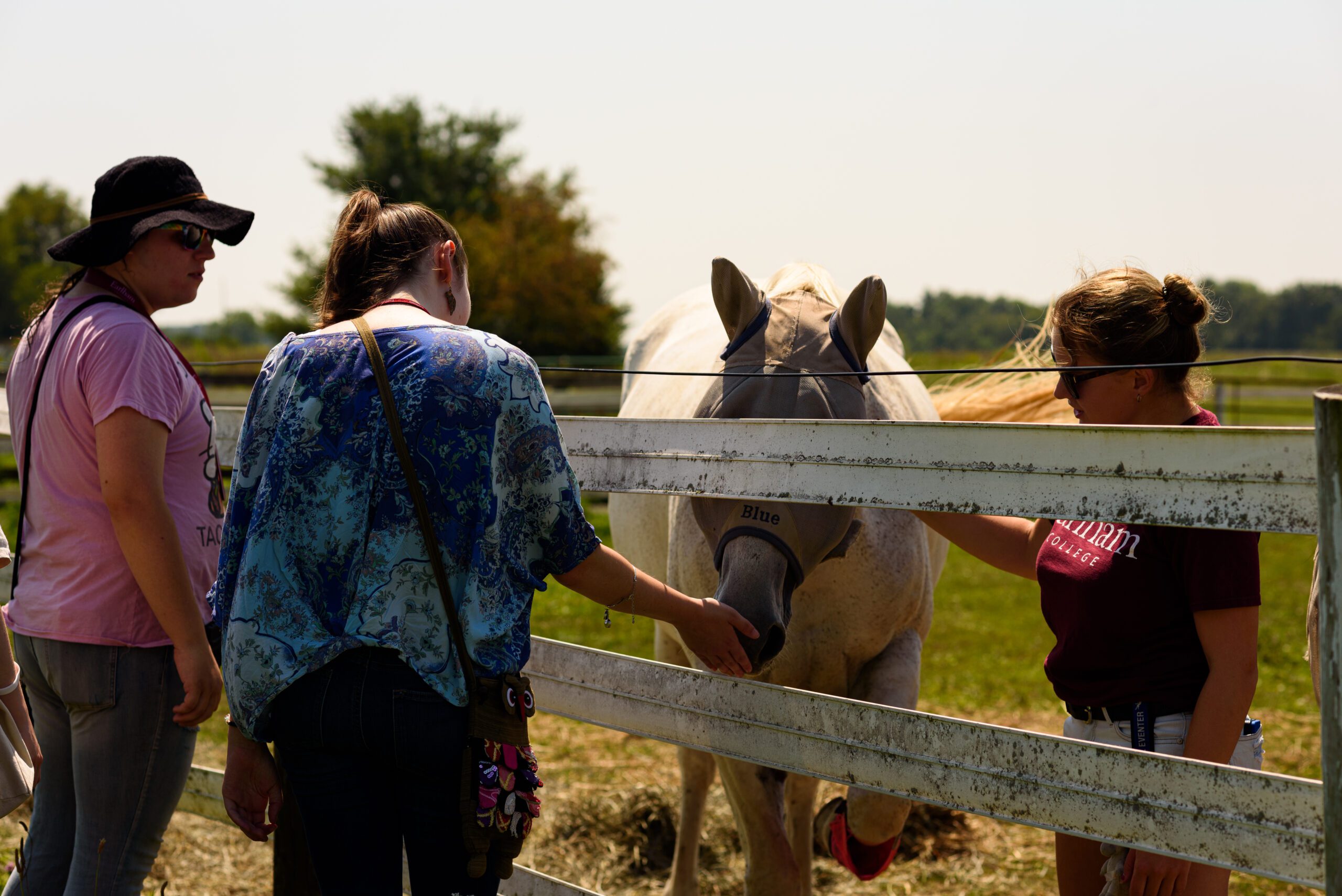 Students visit the equestrian center during NSO