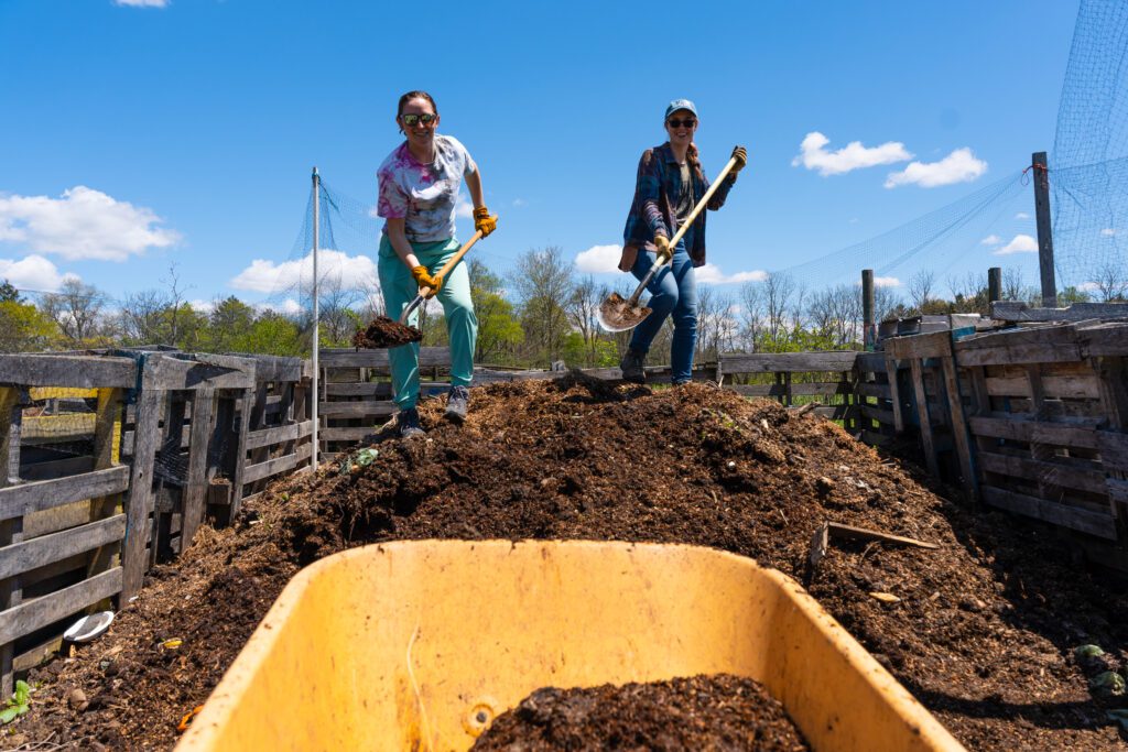 Earlham student Mary Jo Easley and Earlham professor Jaime Coon are pictured with shovels in a compost pile at Miller Farm. A partially filled yellow wheelbarrow is in front of them. Blue skies surround them.