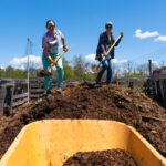 Earlham student Mary Jo Easley and Earlham professor Jaime Coon are pictured with shovels in a compost pile at Miller Farm. A partially filled yellow wheelbarrow is in front of them. Blue skies surround them.
