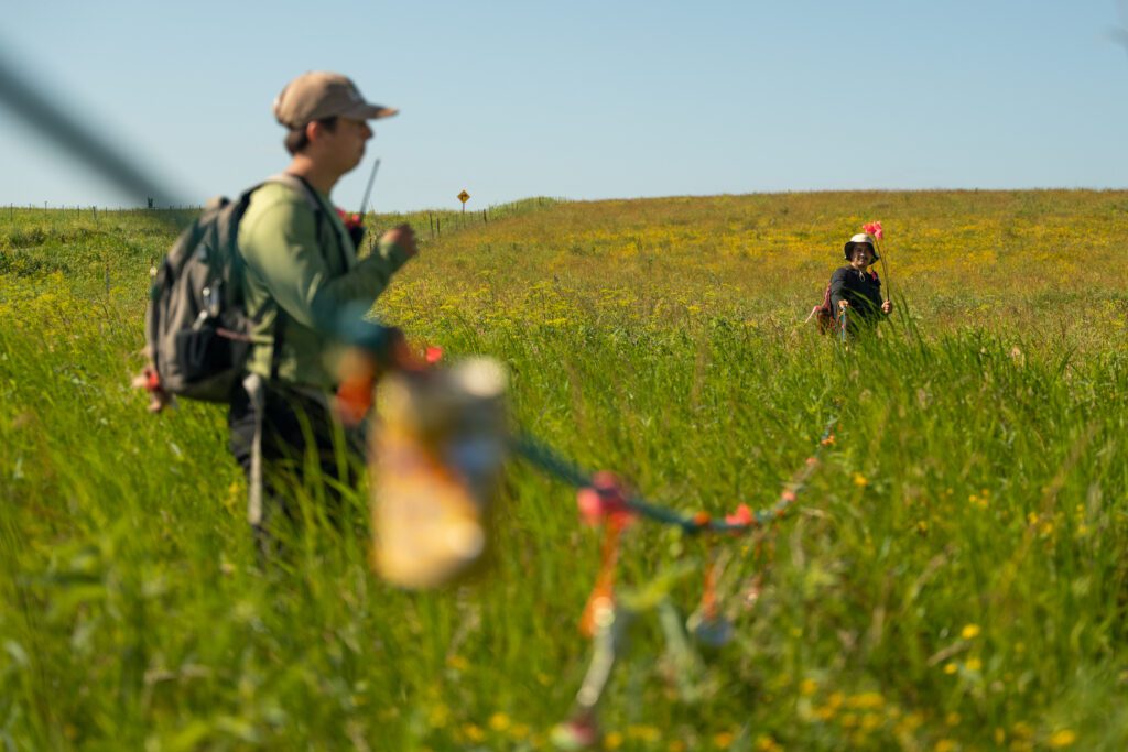 Two Earlham College students walk across the grasslands of Iowa nearby a large rope used to identify birds.