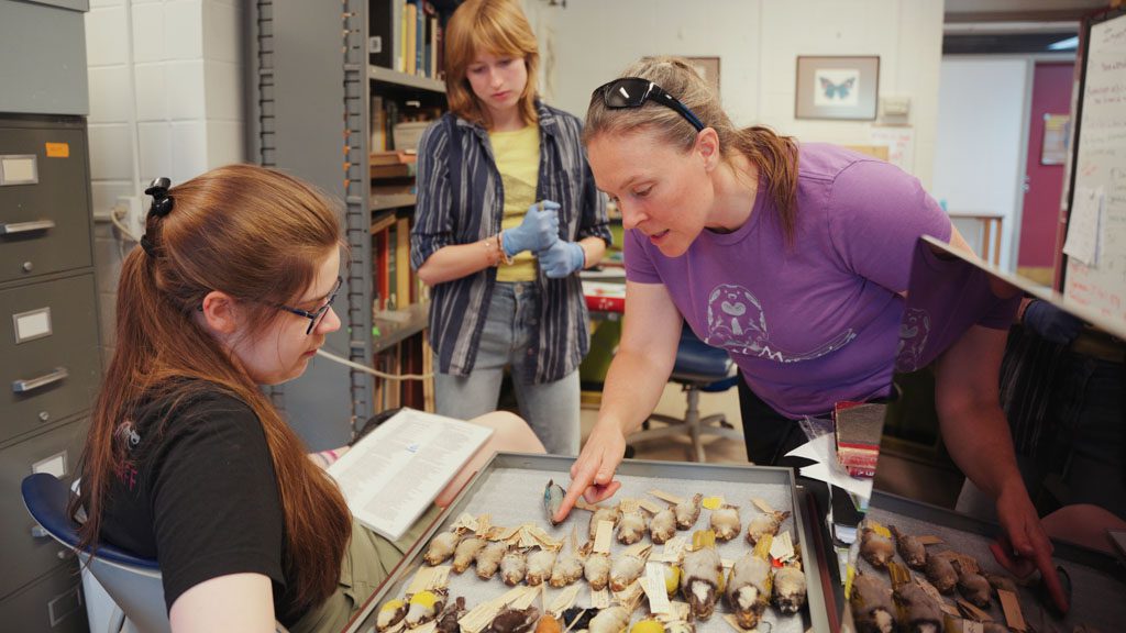 Icelandic laboratory research