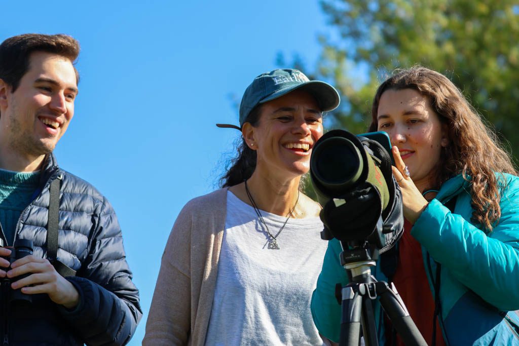 Icelandic laboratory research