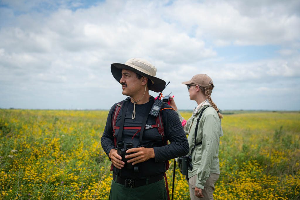 Rebecca Ogle, LCSW photo