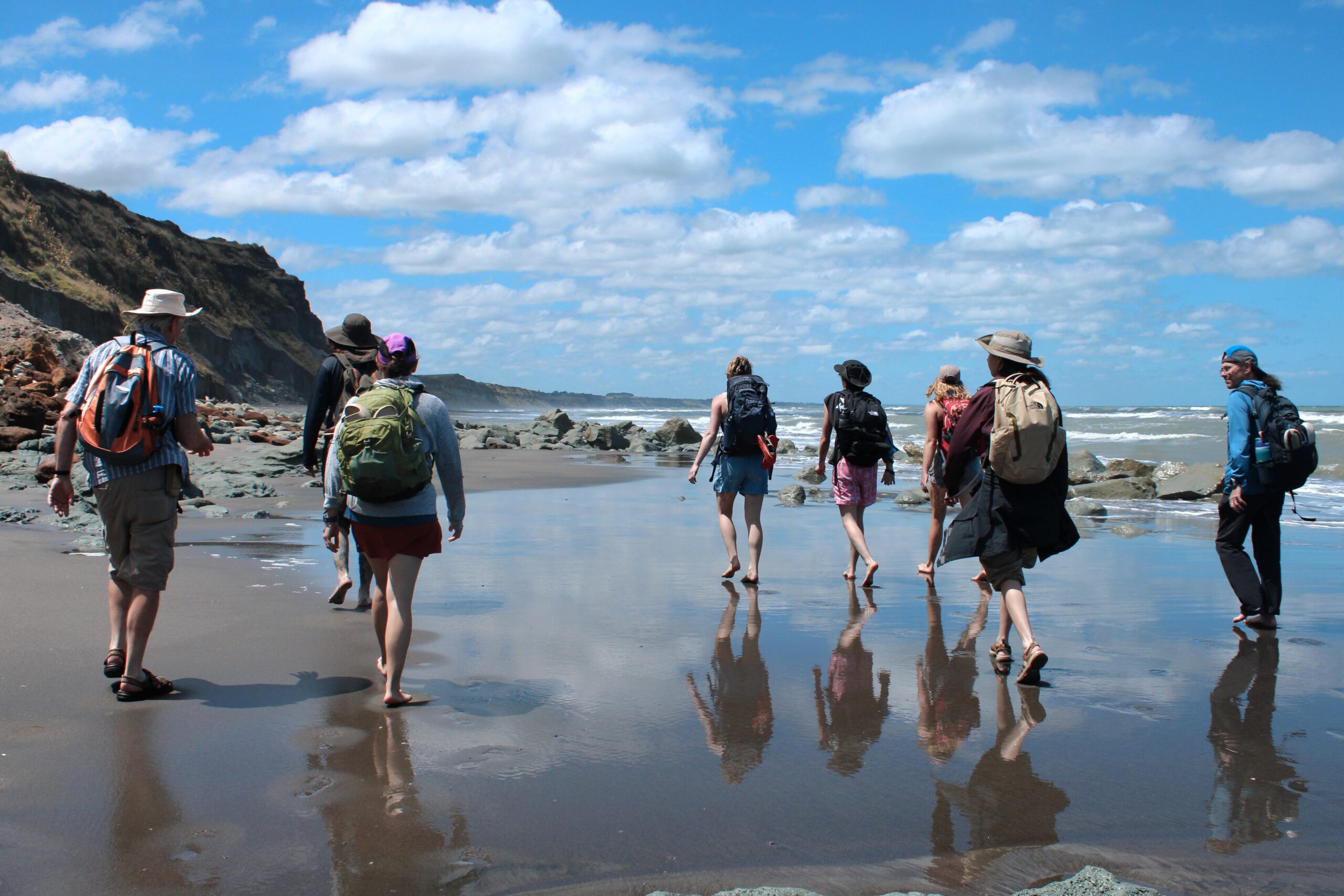 The backsides of students walking along a coastal shore in New Zealand