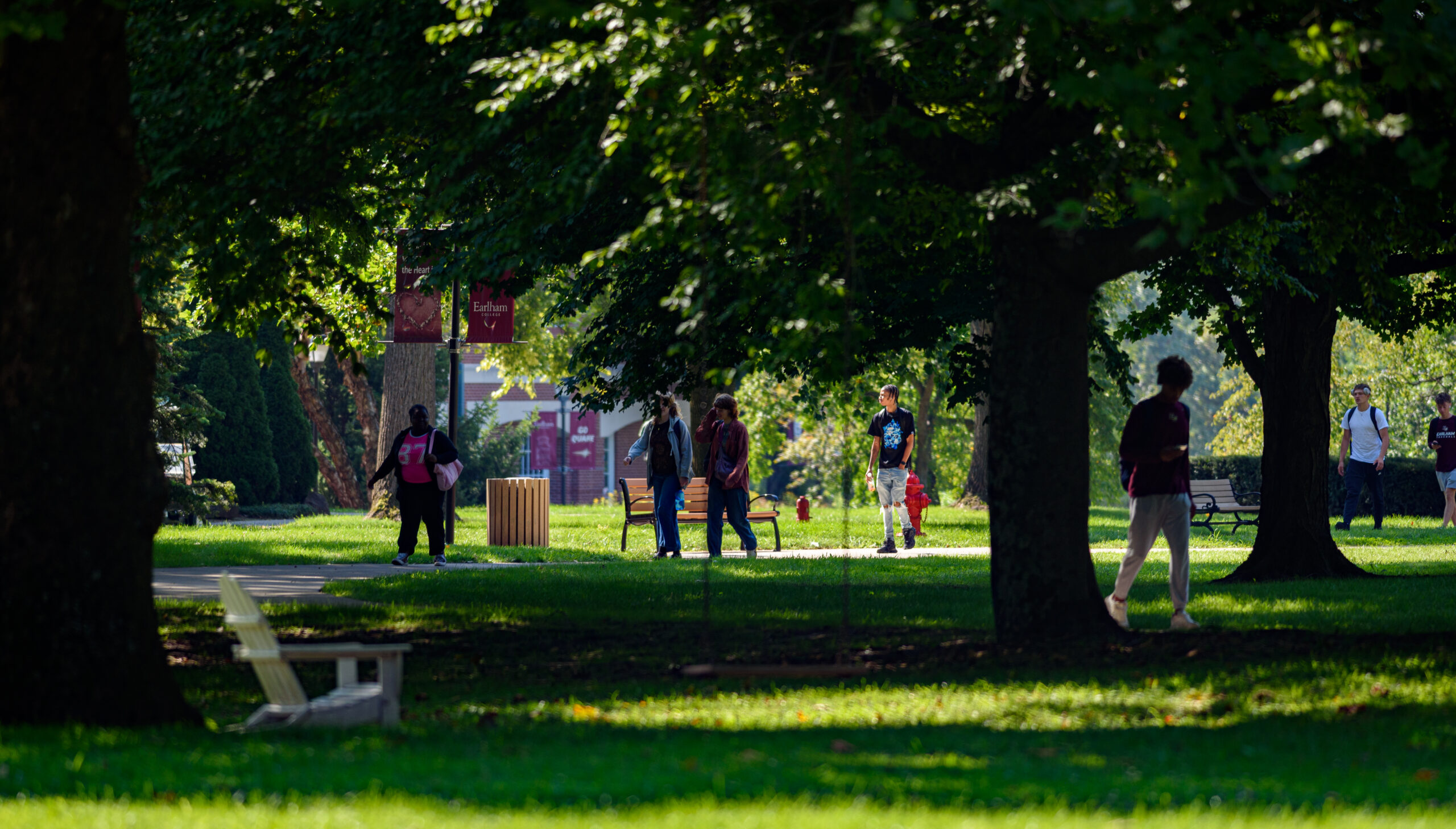 Seven students walk across a tree-lined path on Earlham College's campus